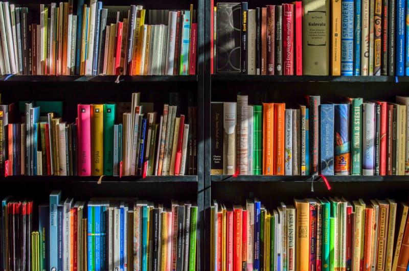 vente-TENDE-min_books_bookstore_book_reading_shop_writer_sale_books_read-822866